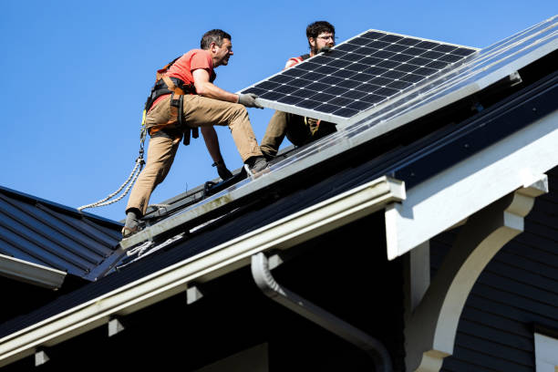 Best Roof Moss and Algae Removal  in Freedom, PA